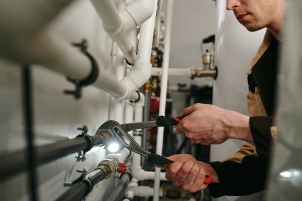 Best Residential Plumbing Services  in Albany, IN