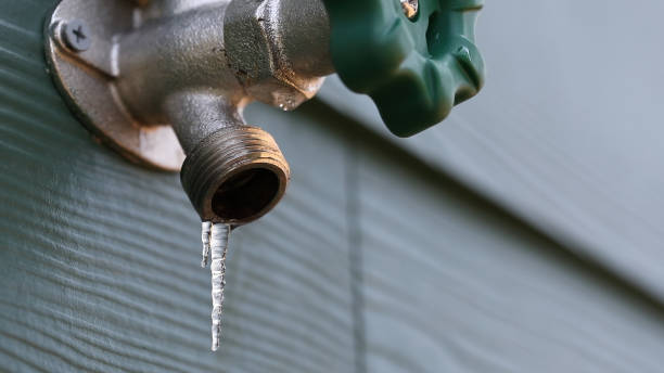 Best Shower Repair Services  in Albany, IN